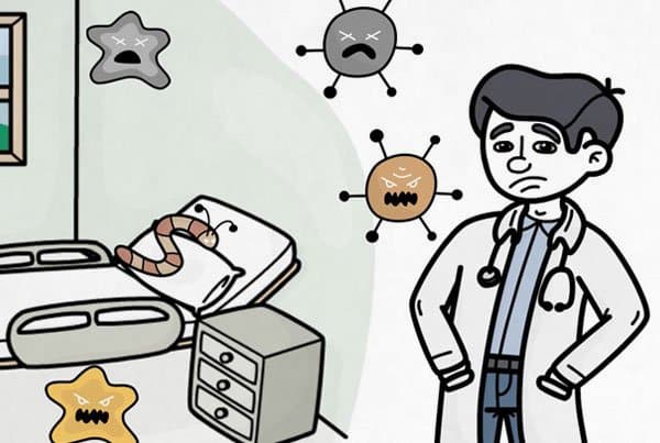 Animação 2D - Americas 3K